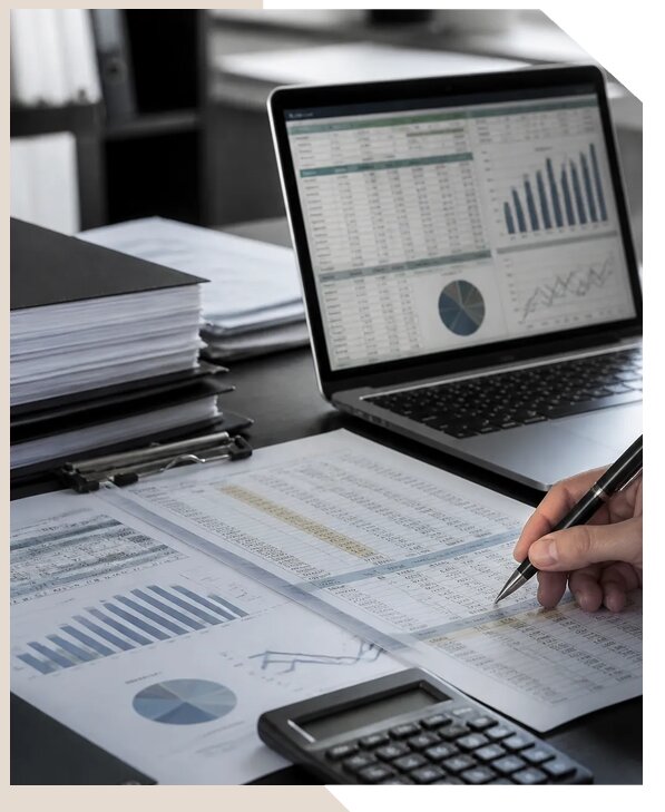 Разработка финансовой модели для бизнеса и инвестиций в Владикавказе